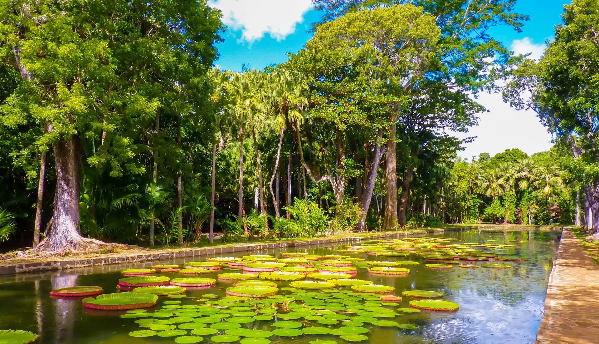 Pamplemousses Botanical Garden