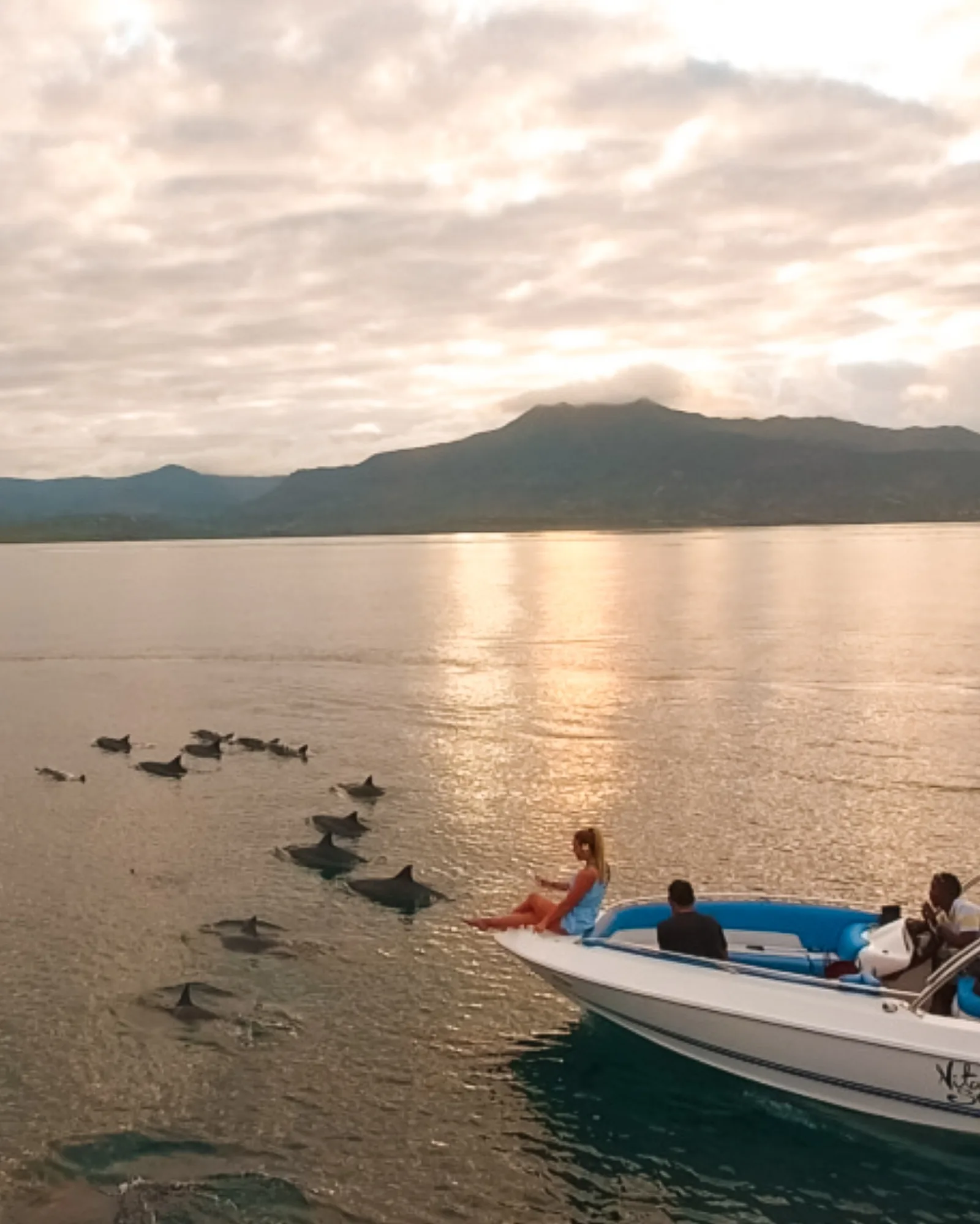 Dolphin Boat Experience