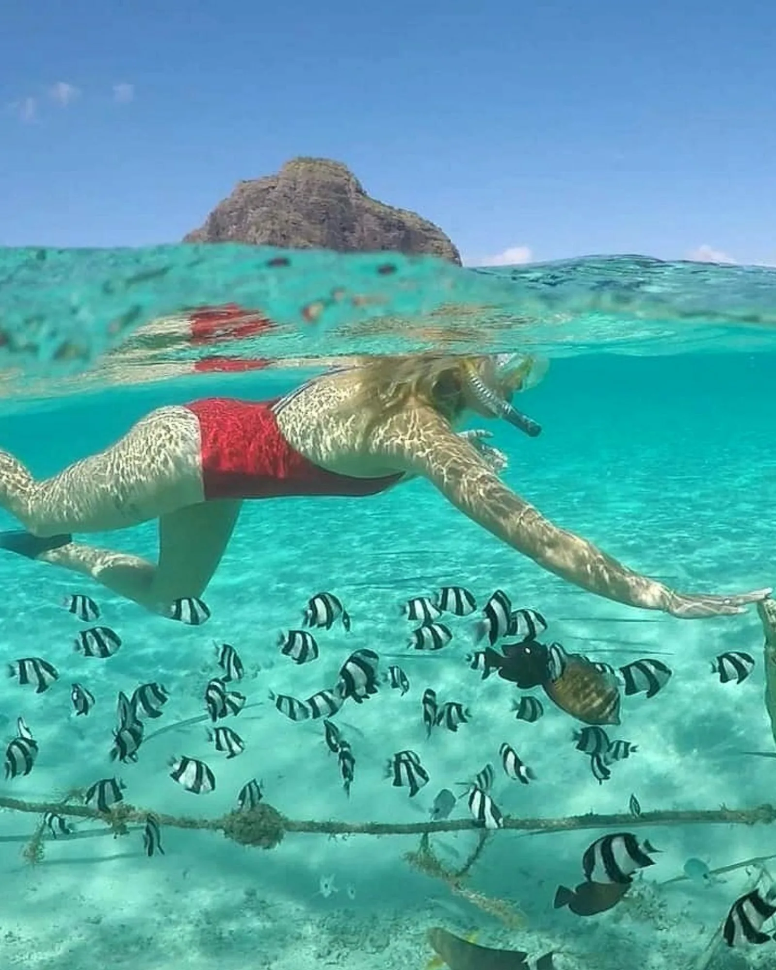 Blue Bay Snorkelling