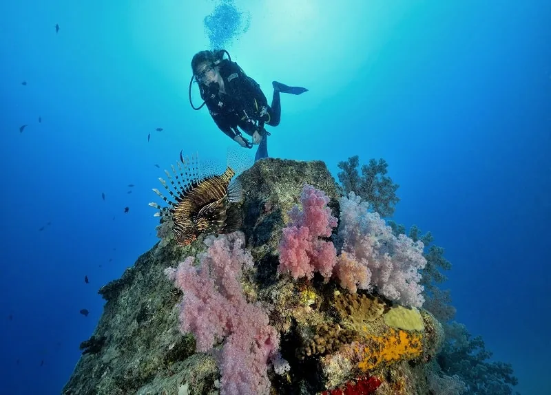 Scuba Diving