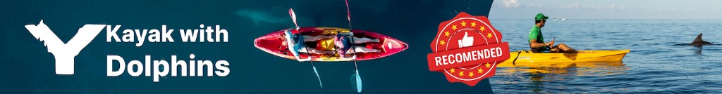 Kayak with Dolphins in Mauritius