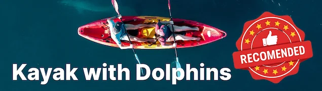 Kayak with Dolphins in Mauritius