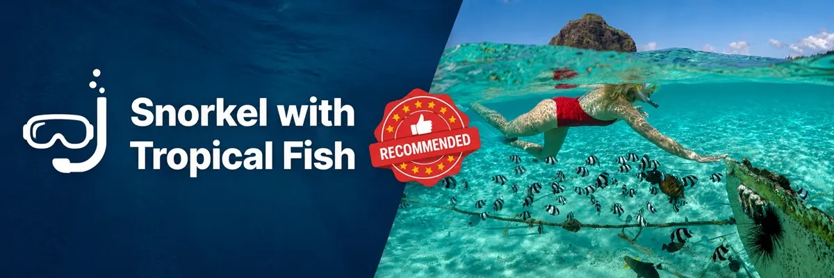 Snorkelling in Mauritius