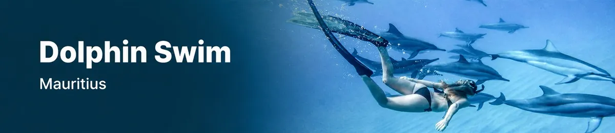 Swim with dolphins in Mauritius Best Prices