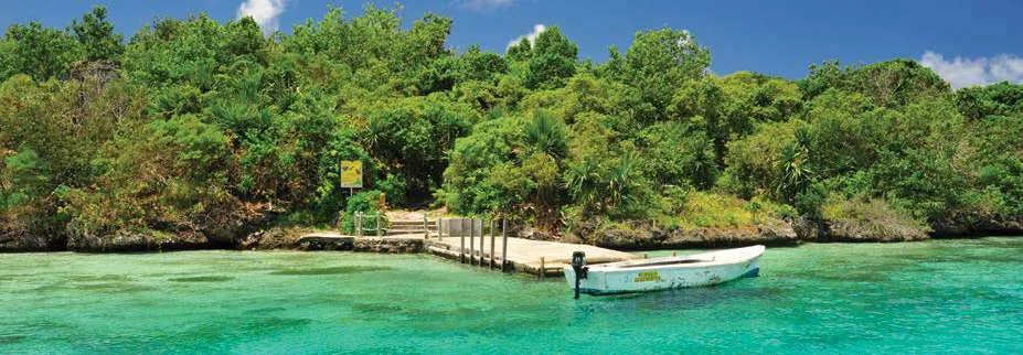 Ile aux Aigrettes coastline in Mauritius