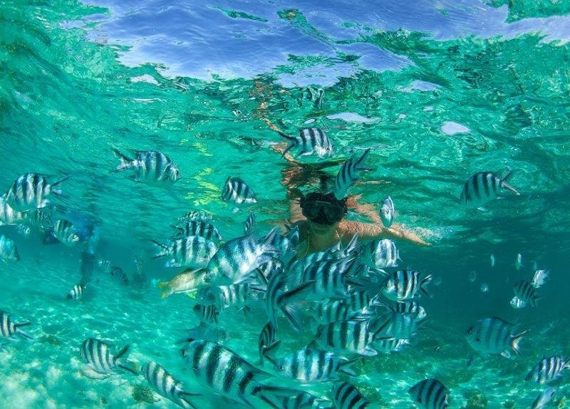 Best snorkeling spot and best beaches