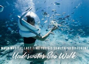 Undersea Walk in Mauritius